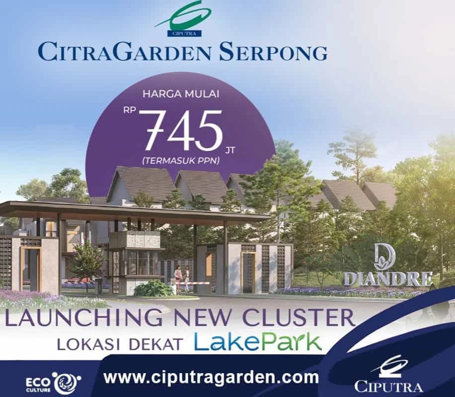 Cluster Diandre