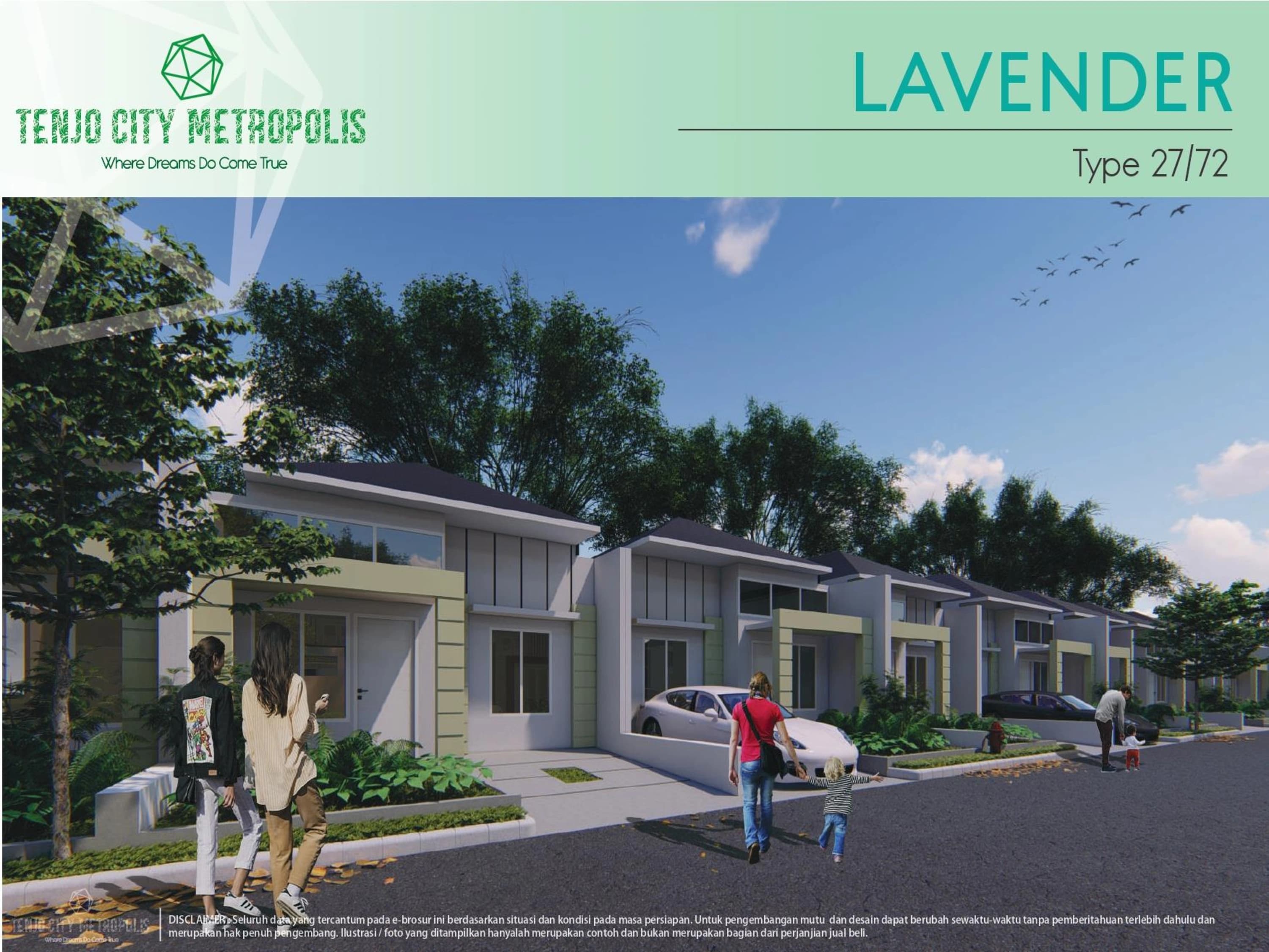 Lavender Type 27 Overview