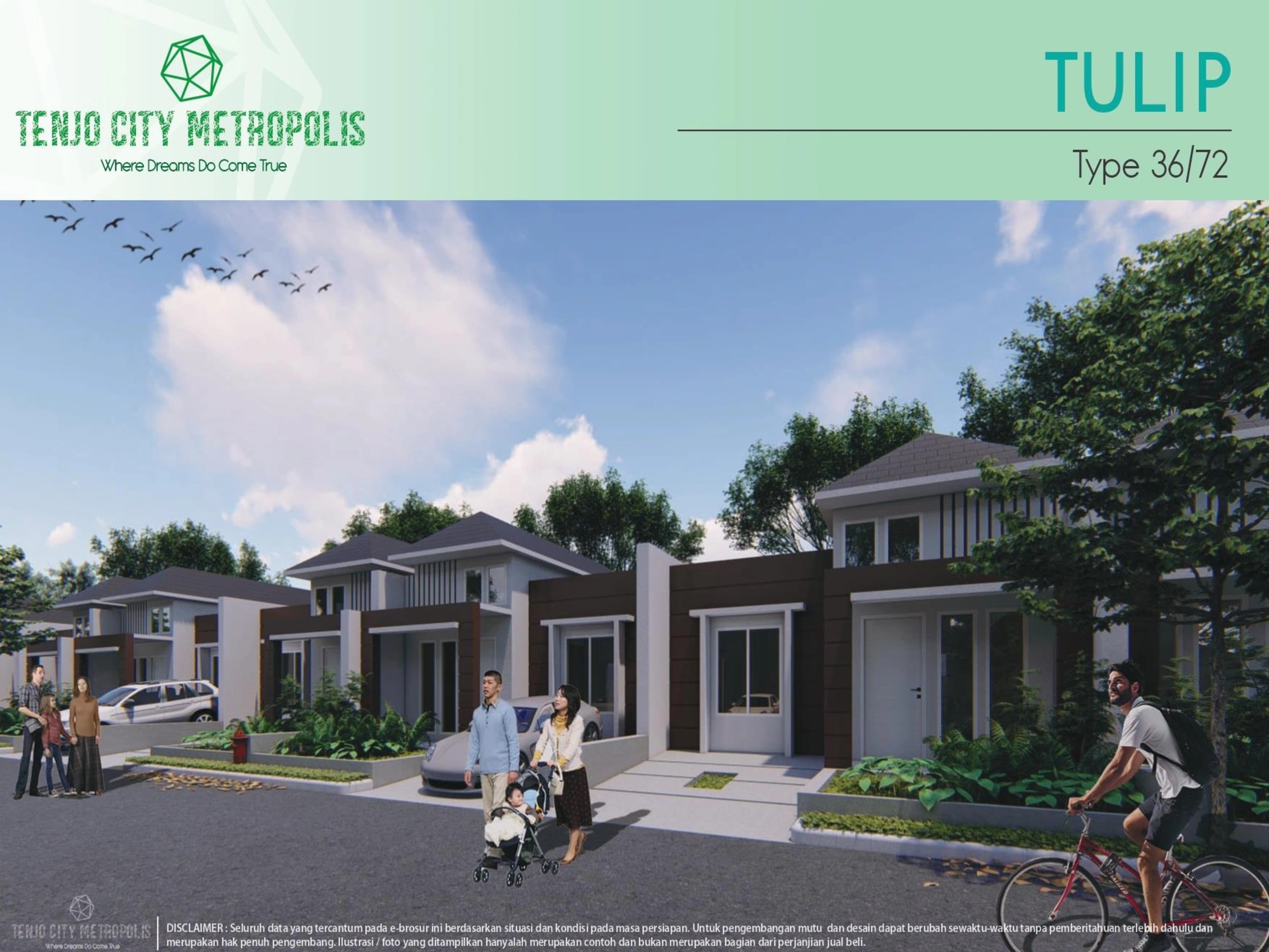 Tulip Type 36 Overview